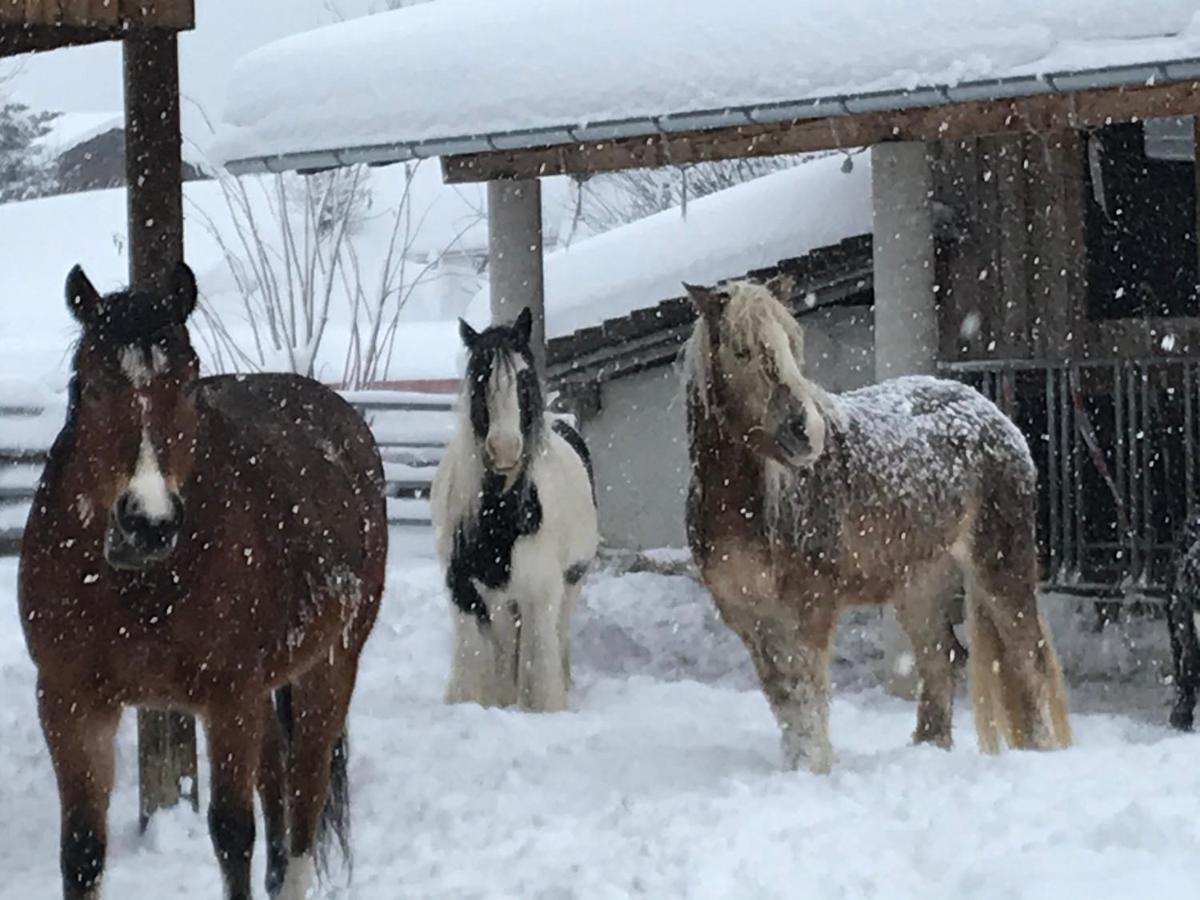Pony-Ziegen-Hasen-Ranch Bichlbach Apartment Exterior foto