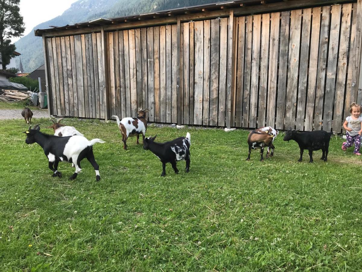 Pony-Ziegen-Hasen-Ranch Bichlbach Apartment Exterior foto